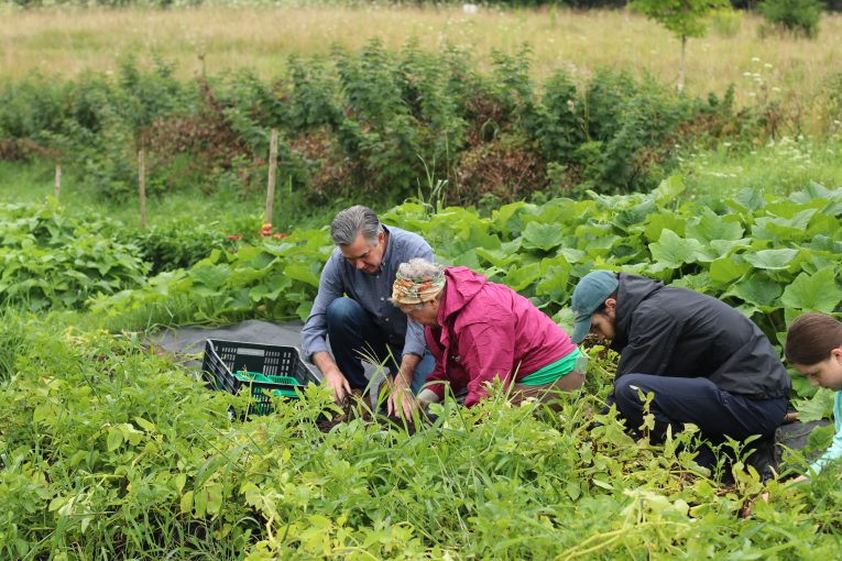 MP Tim Louis and Our Farm Coordinator Jenny Weickert talking together outside at Our Farm.