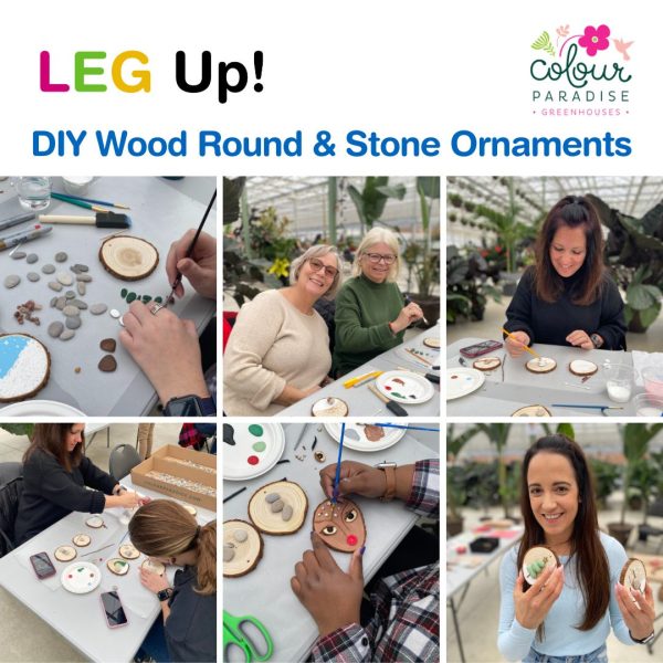 LEG Up! hosting a workshop on wood round and stone ornaments at the Colour Paradise Greenhouse.