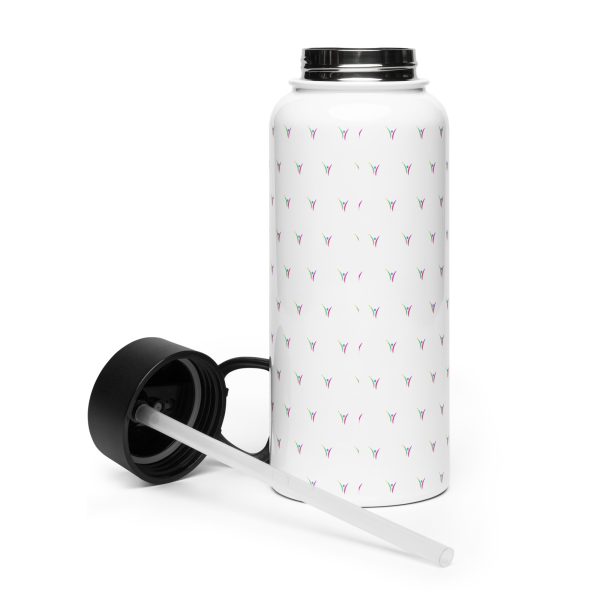 Stainless steel water bottle with a straw lid