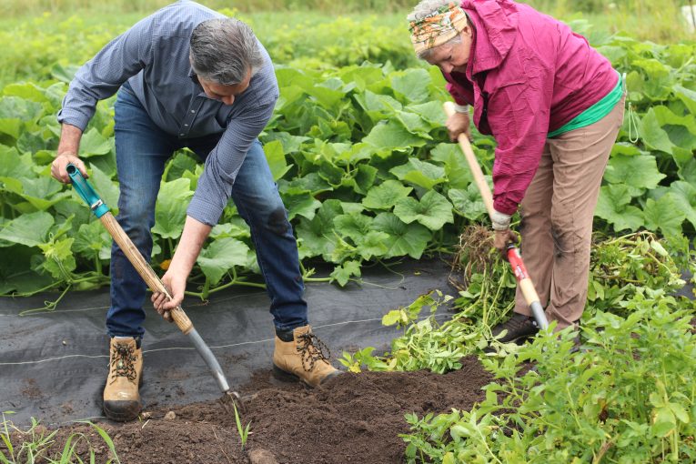 MP Tim Louis and Our Farm Coordinator Jenny Weickert shovelling together at Our Farm.