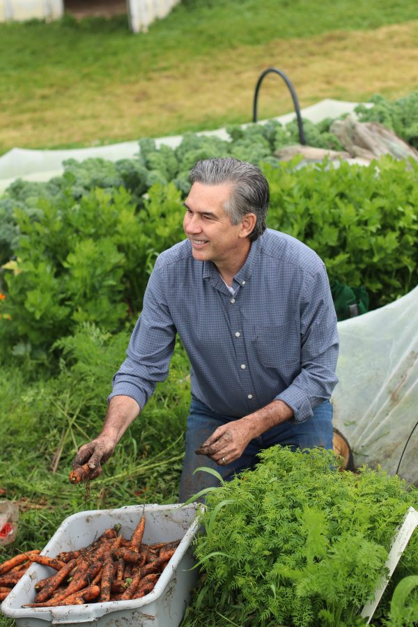 MP Tim Louis harvesting carrots at Our Farm.