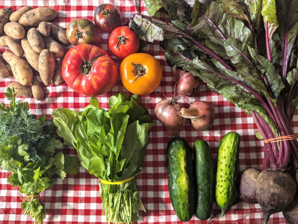 overhead view of locally grown vegetables