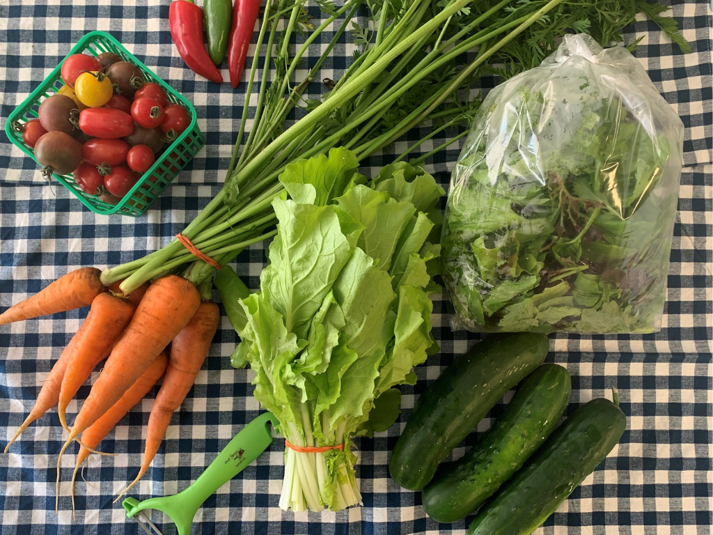 overhead view of locally grown vegetables