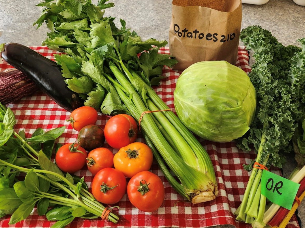 overhead view of locally grown vegetables