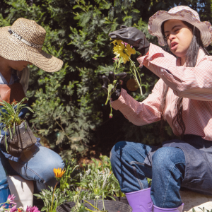 Two people caring for the plants in their garden