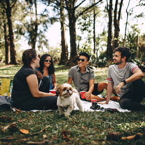 People enjoying each others' company outdoors in the shade with a dog.