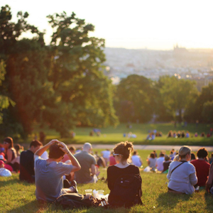 Small groups of people sitting outside on the grass.