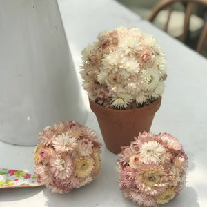 A pretty arrangement of straw flowers