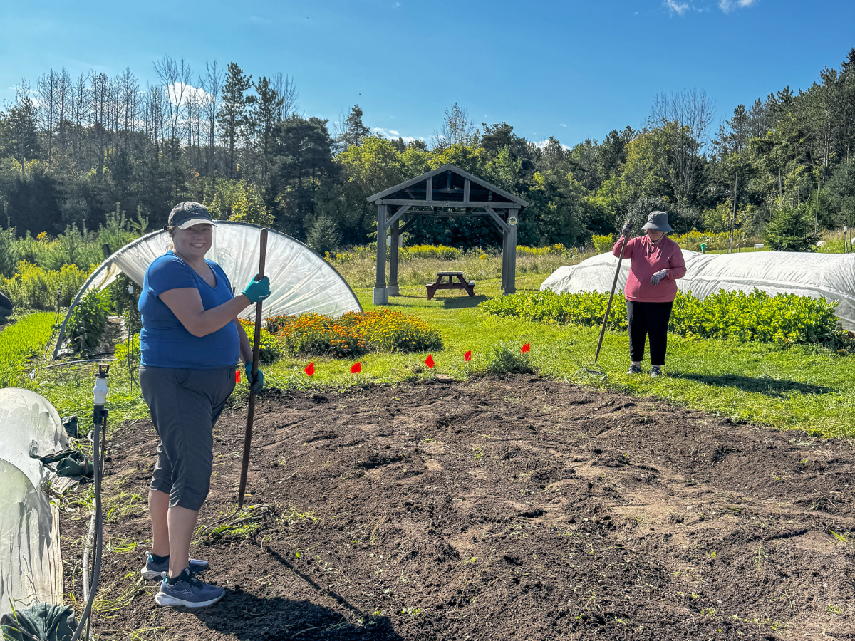 two people working in a farm field