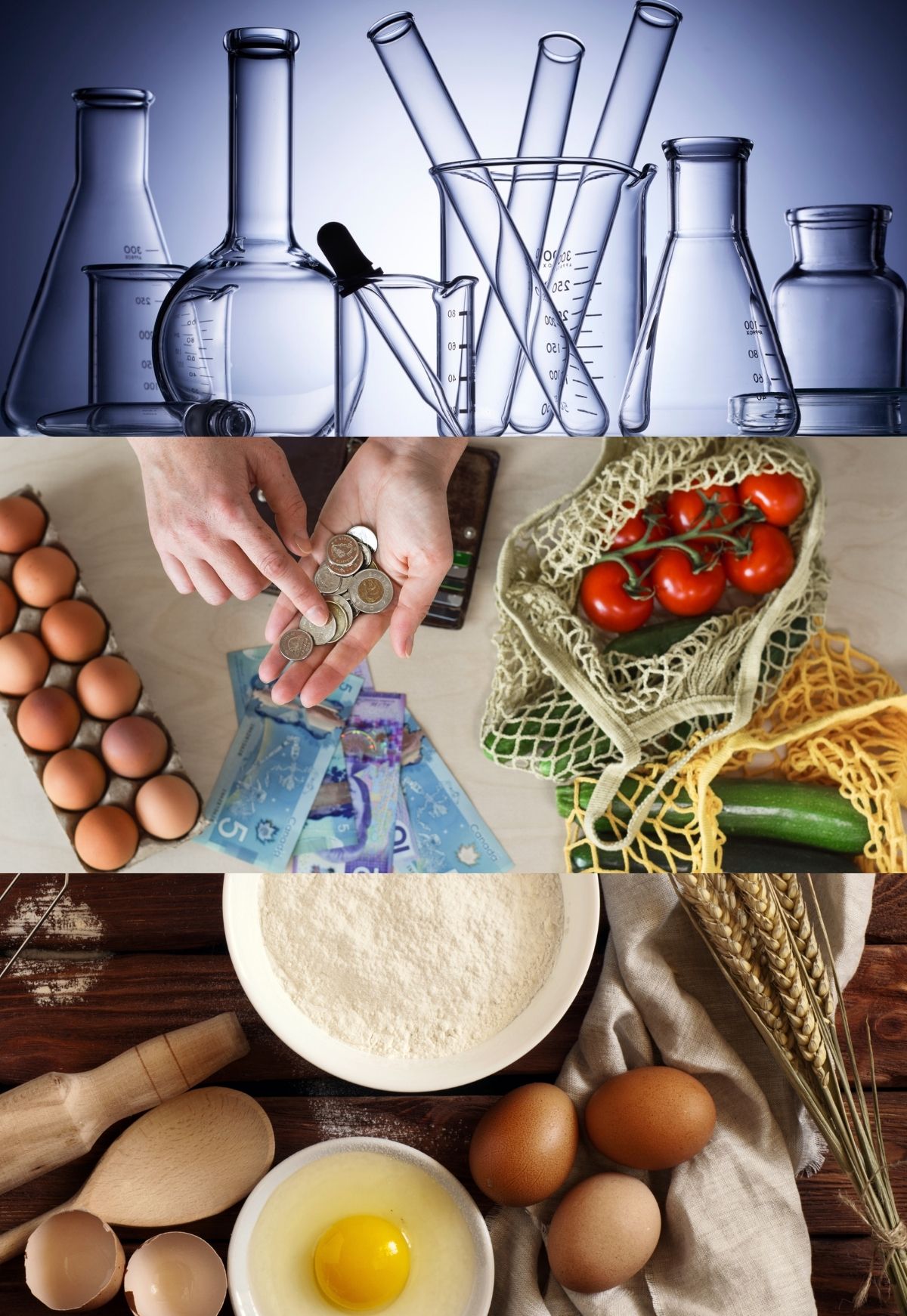 An array of beakers and test tubes to be used for scientific experiments. A display of groceries with a person counting their money in their hands. A bunch of baking ingredients including egg and flour.