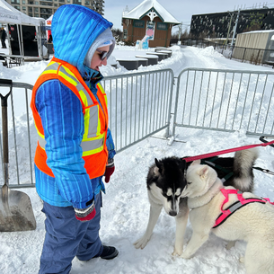 Hana is looking down at the two husky dogs that are in harnesses.