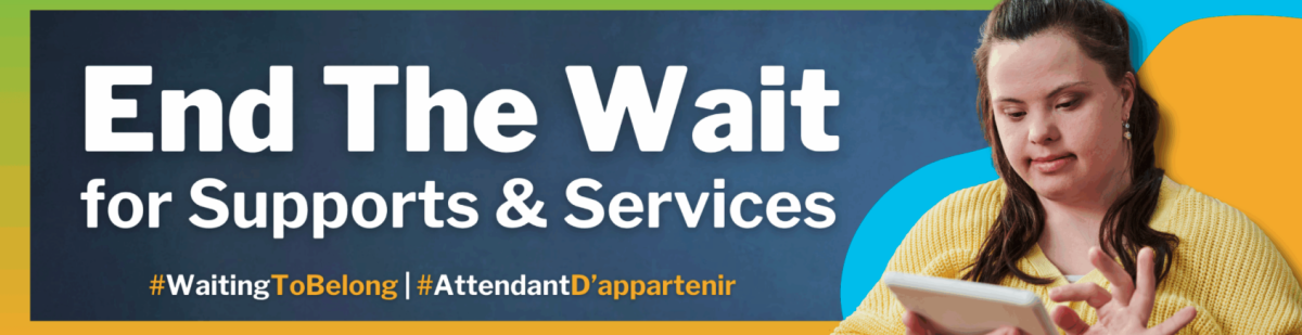 waiting to belong banner that says end the wait for supports and services