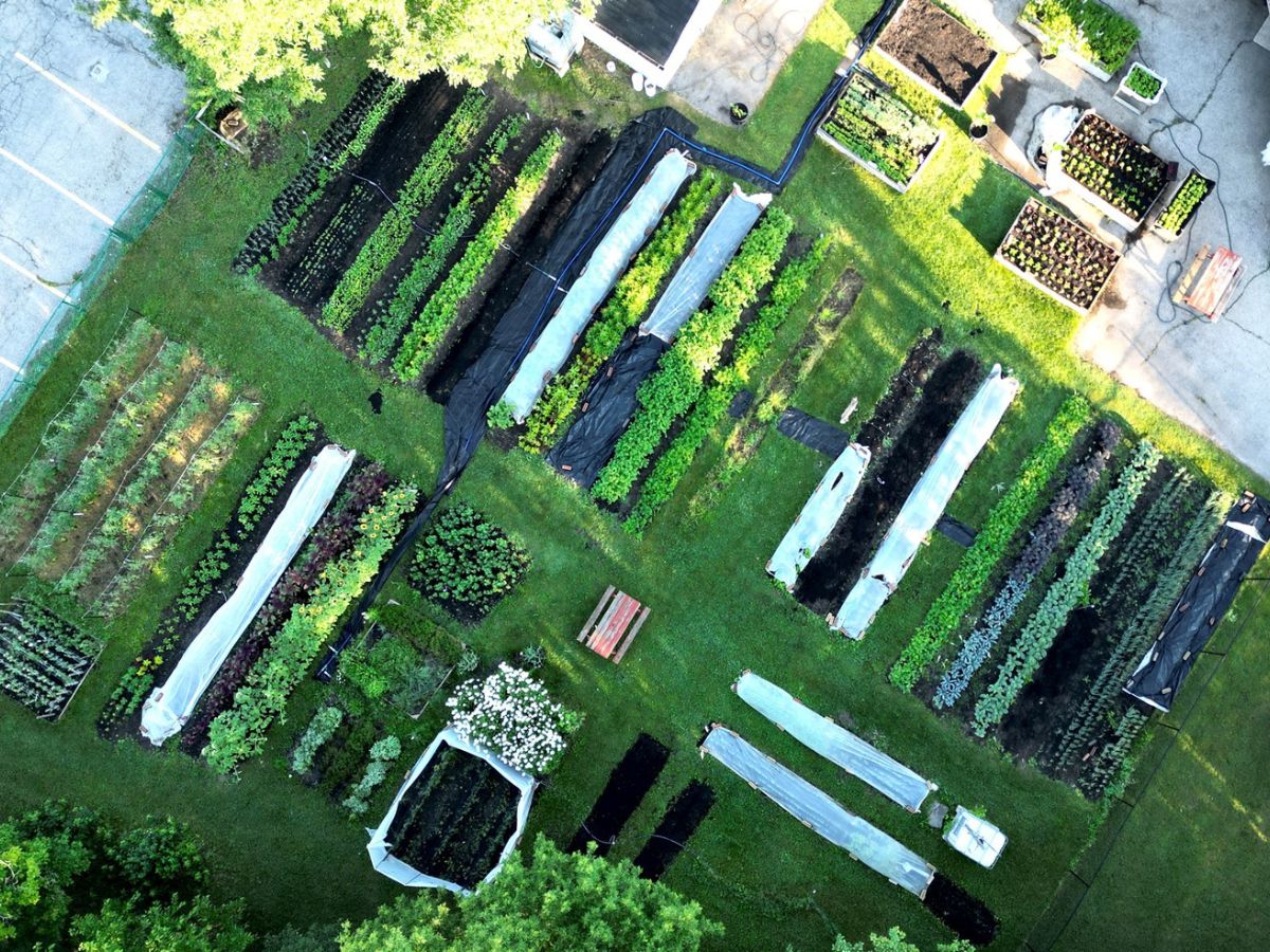 overhead view or Our Farm at KW Habilitation, the urban site