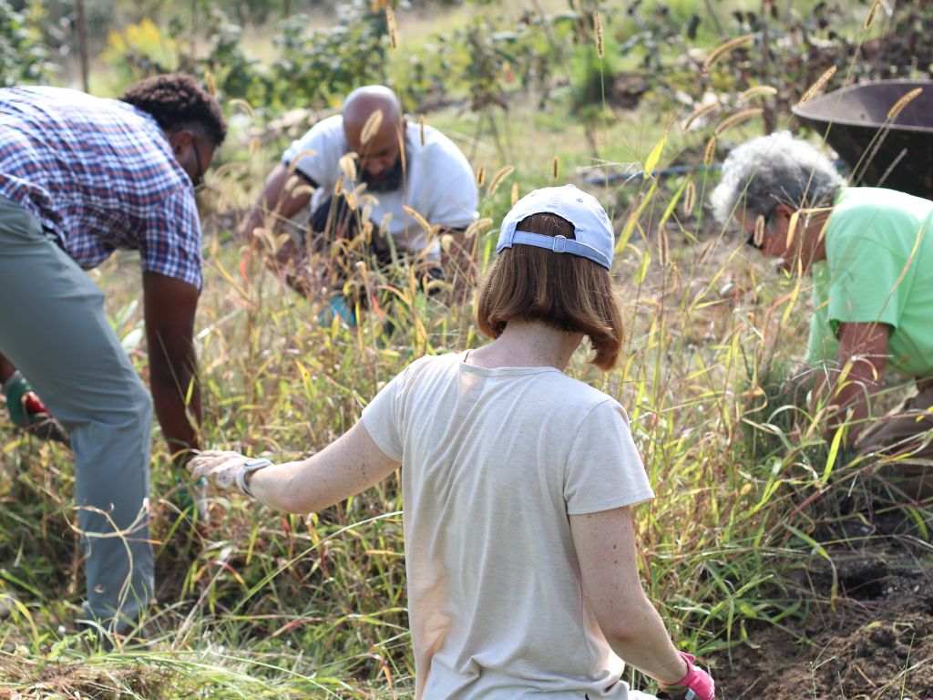 a group of people working at a farm weeding