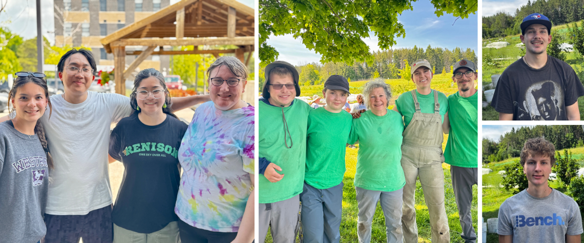 photo collage of the summer students who worked at KW Habilitation in the summer of 2026