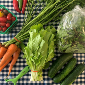 overhead view of locally grown vegetables